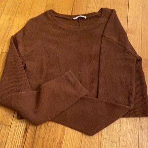 Zara brown cropped longsleeve sweater top